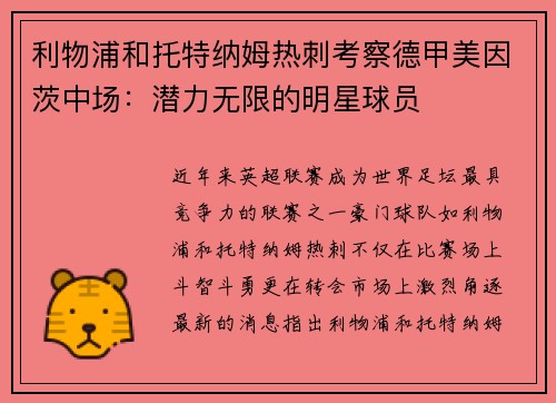 利物浦和托特纳姆热刺考察德甲美因茨中场：潜力无限的明星球员