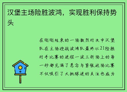 汉堡主场险胜波鸿，实现胜利保持势头