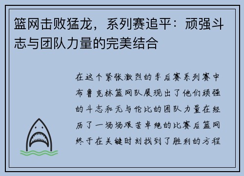 篮网击败猛龙，系列赛追平：顽强斗志与团队力量的完美结合