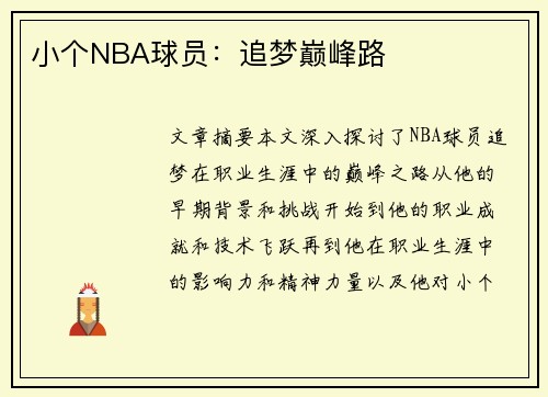 小个NBA球员：追梦巅峰路